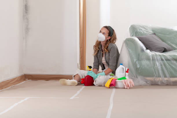 Reliable Crawl Space Mold Removal contractor in Vienna, GA by WQB Mold Removal