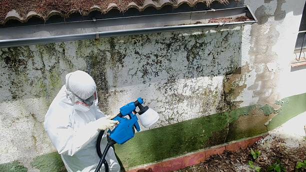 Top rated local Crawl Space Mold Removal specialists in Vienna, GA